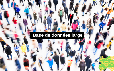 Base de données large